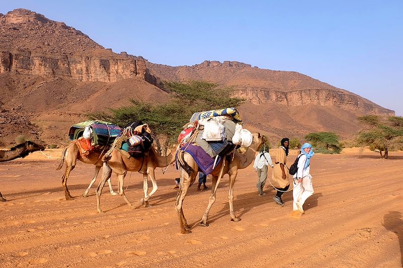 Randonnée chamelière en Mauritanie entre dunes somptueuses et oasis luxuriantes