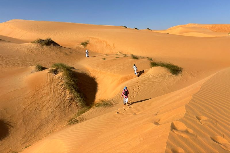 Randonnée de El Meddah à Gleïtat - Adrar - Mauritanie