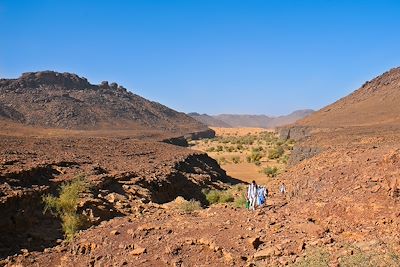 voyage De Chinguetti aux dunes de l’Amatlich 