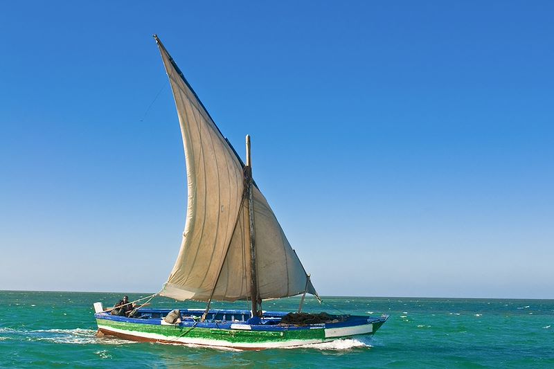 Bateau traditionnel dans les eaux du Banc d'Arguin - Mauritanie