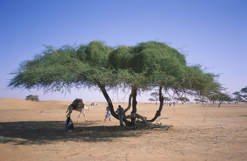 Petits et grands explorateurs de l'Adrar