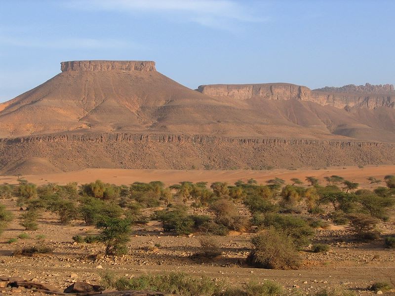 Petits et grands explorateurs de l'Adrar