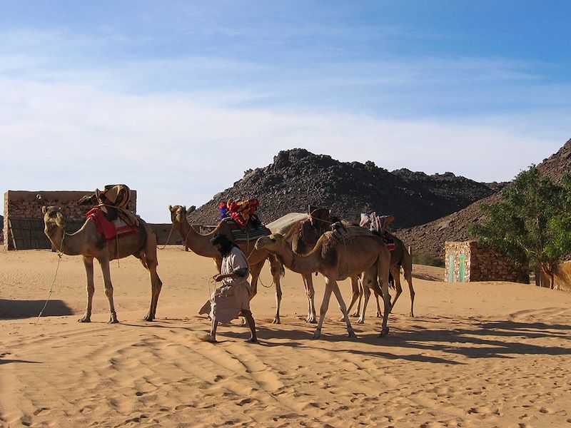 Petits et grands explorateurs de l'Adrar