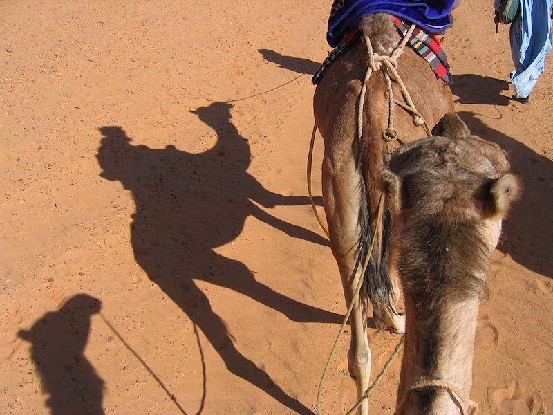 Petits et grands explorateurs de l'Adrar