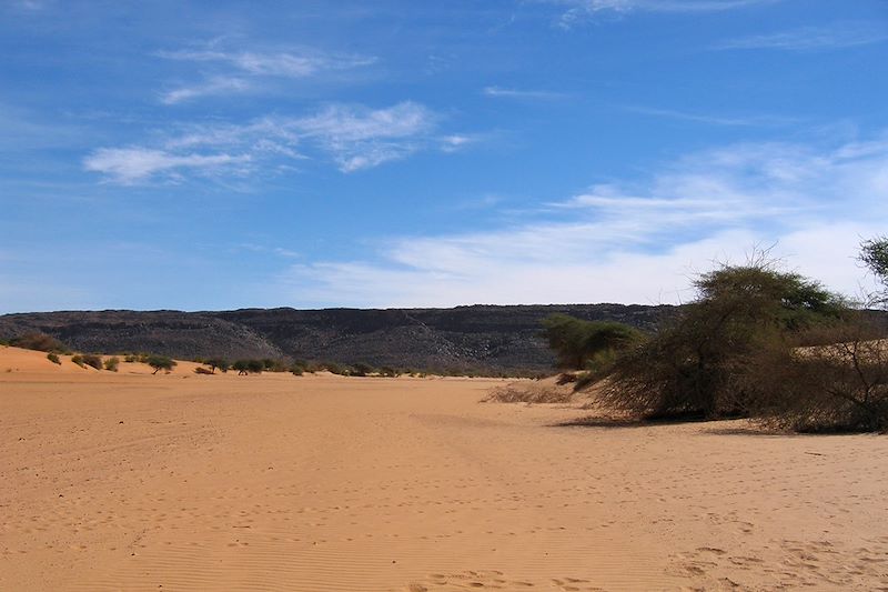 Petits et grands explorateurs de l'Adrar