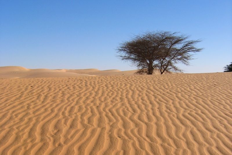 Environs de Chinguetti - Adrar - Mauritanie