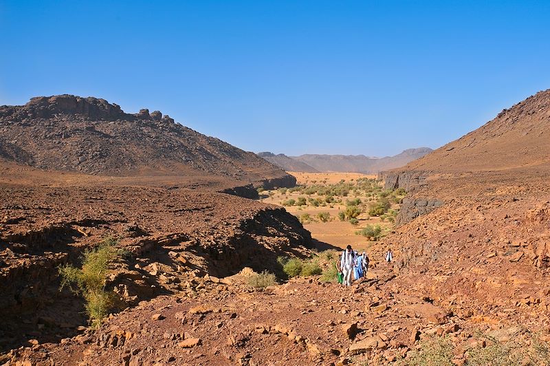 Canyon de Terjit - Adrar - Mauritanie