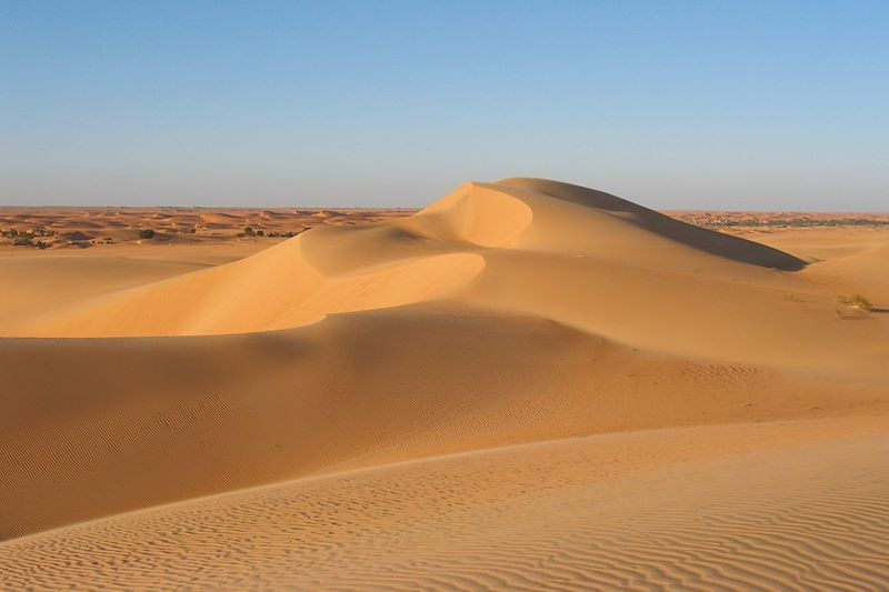 De Chinguetti aux oasis de l'Adrar