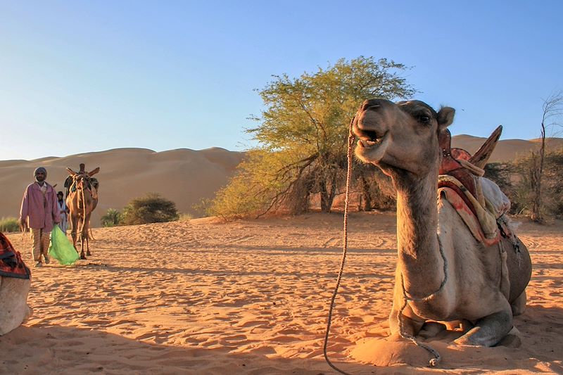 De Chinguetti aux oasis de l'Adrar