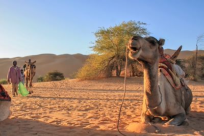 voyage Mauritanie