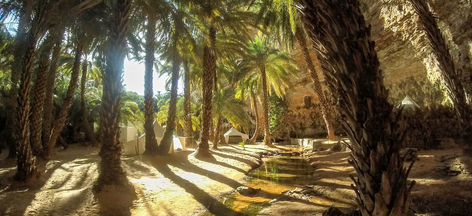 Image De Chinguetti aux oasis de l'Adrar