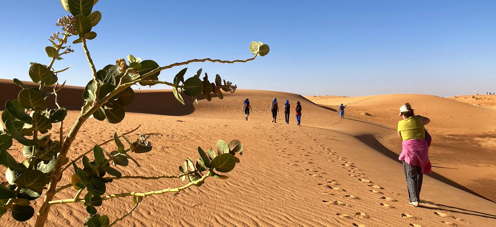 Image De Chinguetti aux oasis de l'Adrar