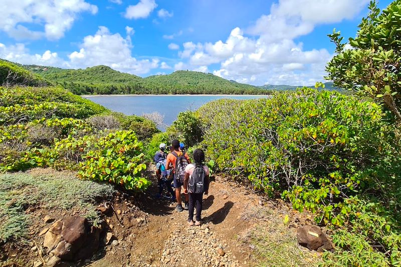 Randonnée de la Trace des Caps - Martinique