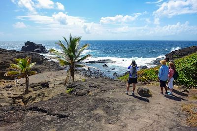 voyage Martinique