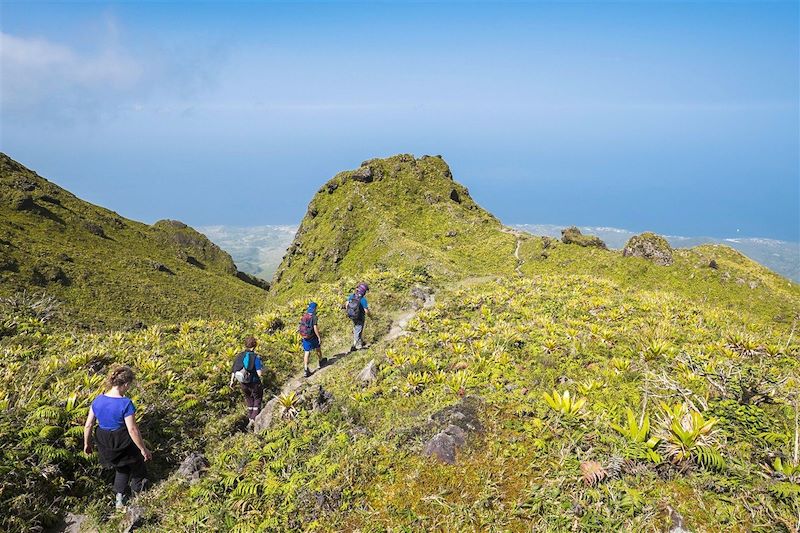 Randonnée sur la montagne Pelée - Martinique