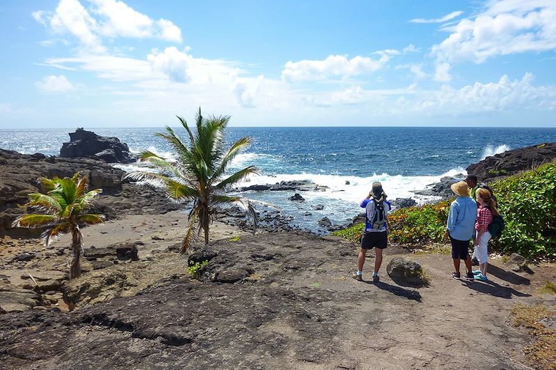 Randonnée sur la Presqu'île de la Caravelle - Martinique