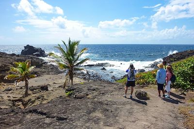 Best of Martinique 2