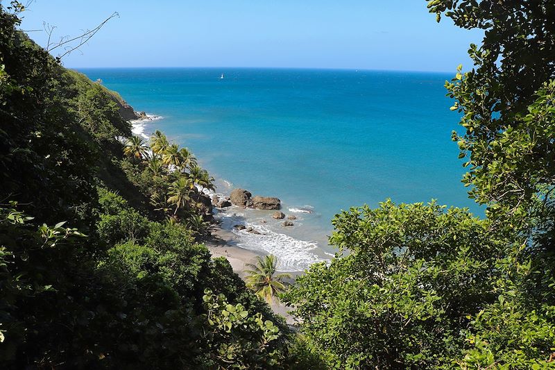 Grand'Rivière - Martinique