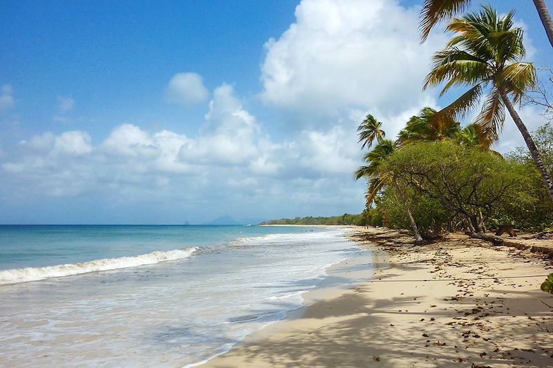 Best of Martinique