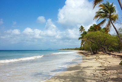 Best of Martinique 3