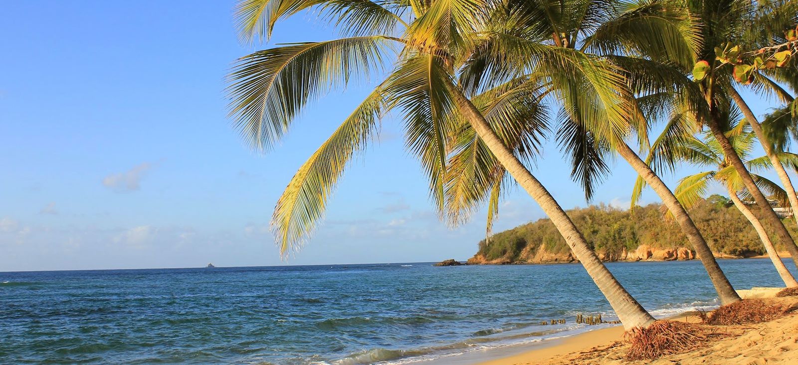 Image La Martinique, perle de la Caraïbe...