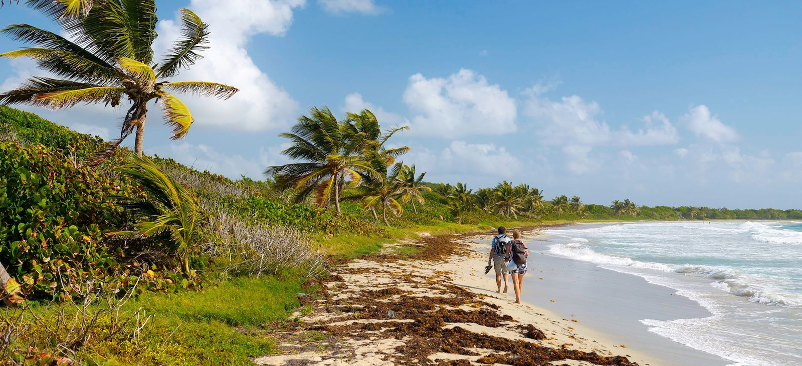 Trek - La Martinique, perle de la Caraïbe...