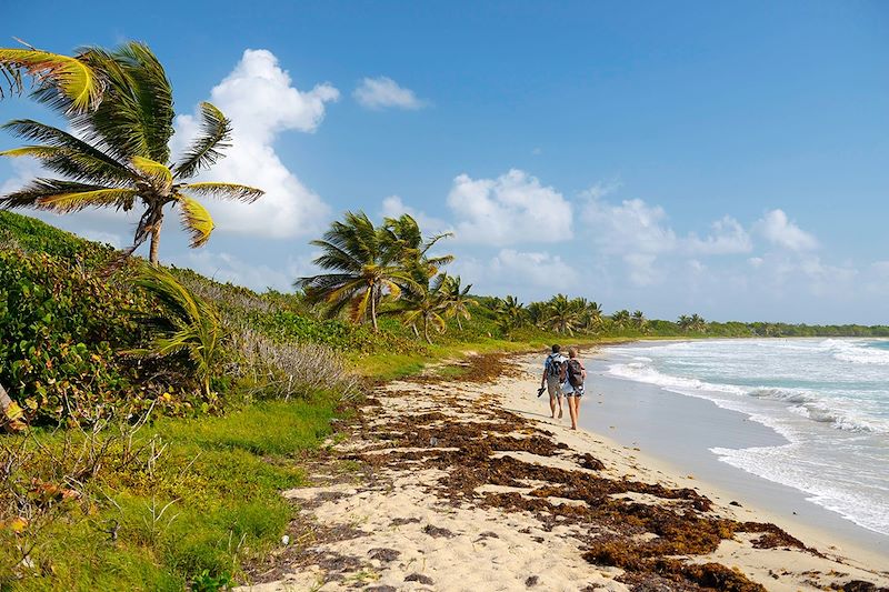 La Martinique, perle de la Caraïbe...