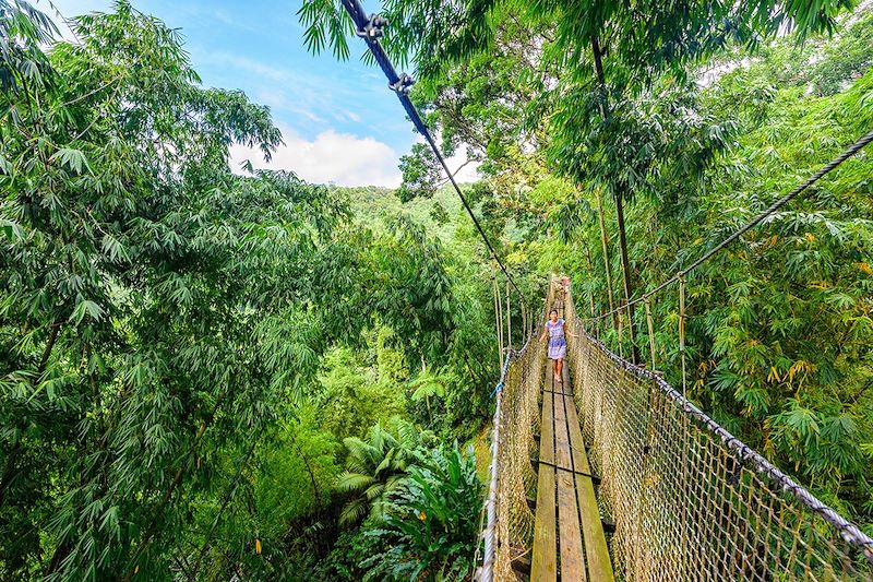 Le Jardin de Balata - Fort-de-France - Martinique