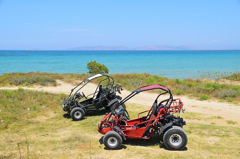 Excursion en buggy