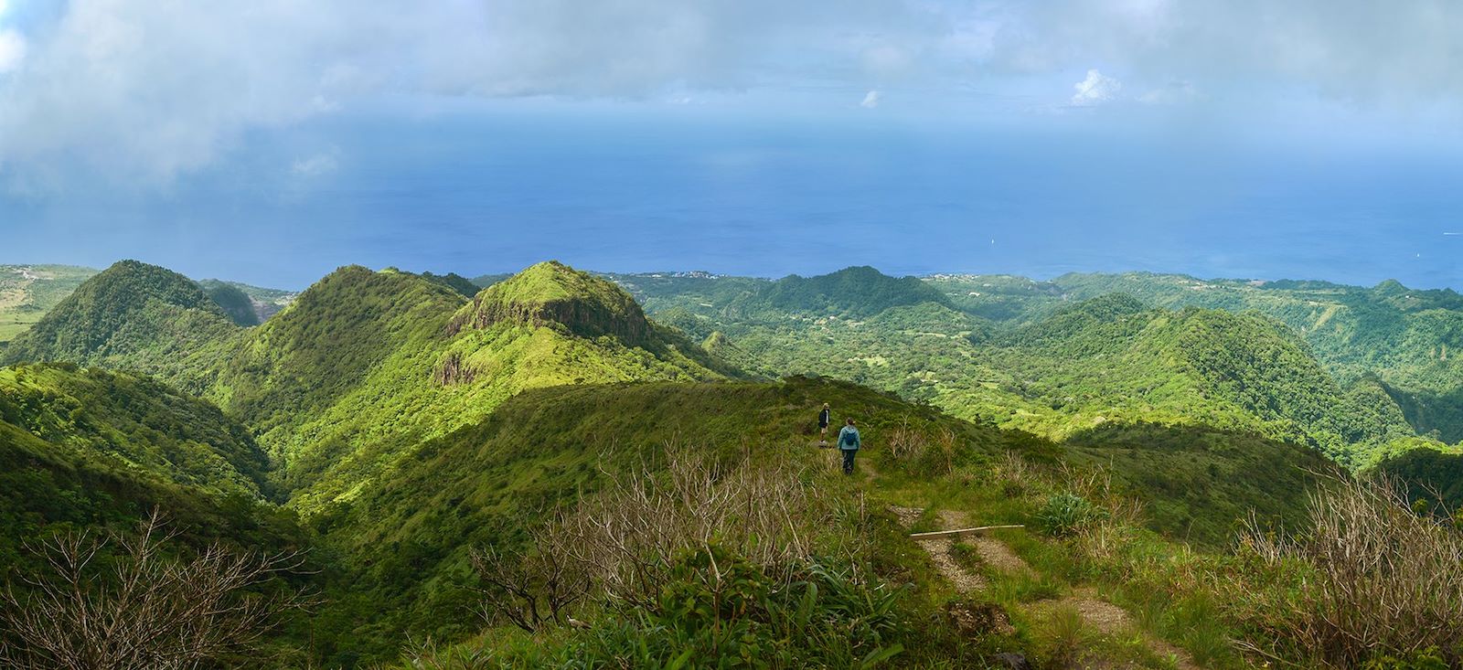 Image La Martinique, perle de la Caraïbe...