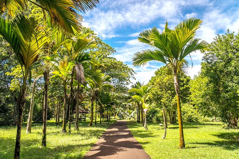 Jardin botanique de Pamplemousses - Île Maurice