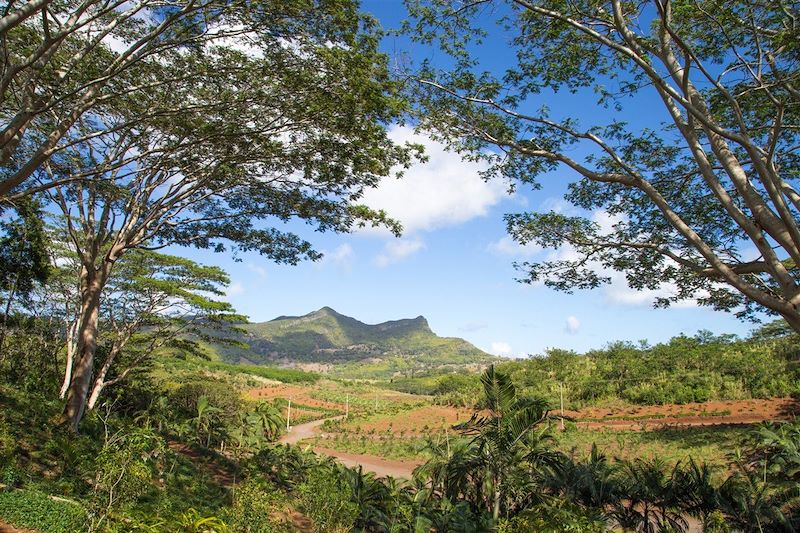 Vue sur le plateau de Chamarel depuis le parc national des gorges de Rivière Noire - Île Maurice