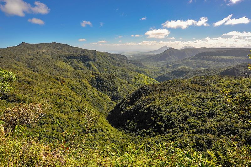 Vallée de la Rivière Noire - Île Maurice