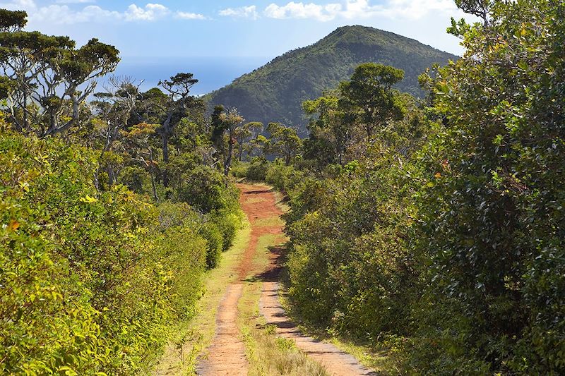 Randonnée à l'Île Maurice