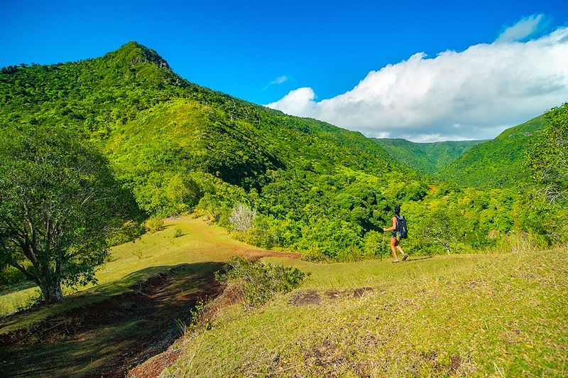 Randonneuse au Parc National des Gorges de Rivière Noire - Île Maurice