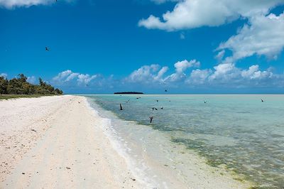 Ile Rodrigues, l’oubliée des Mascareignes 4