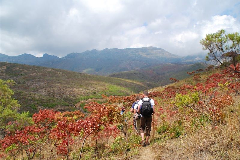 Lac et montagnes du Malawi 