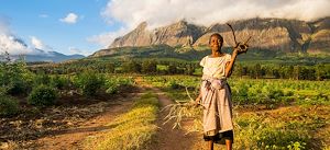 voyage Malawi