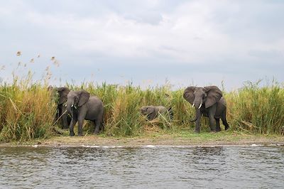 voyage Safari en Zambie et plage au Malawi 