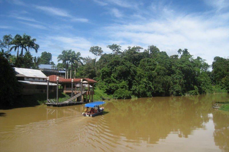 Parc National de Niah - Sarawak - Malaisie