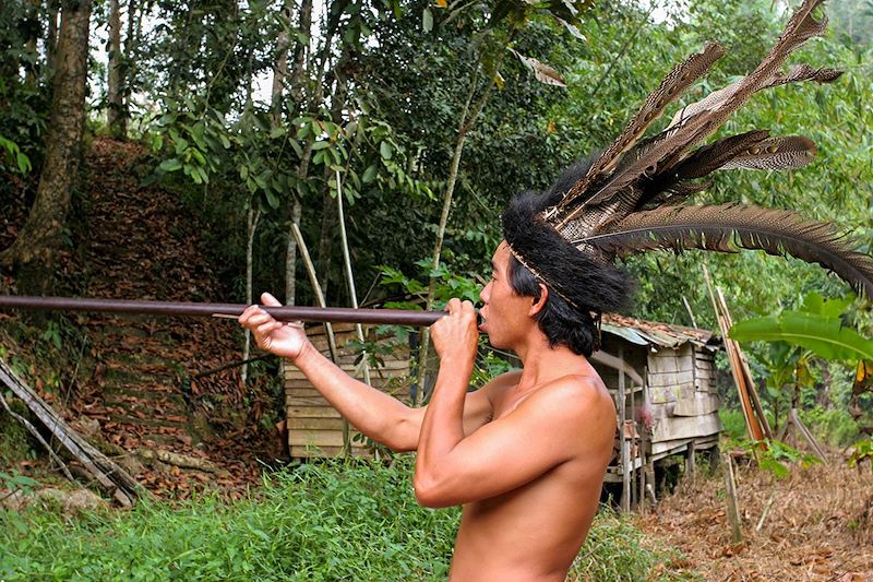 Tireur à la sarbacane de la communauté Iban - Parc national de Batang Ai - Bornéo - Malaisie