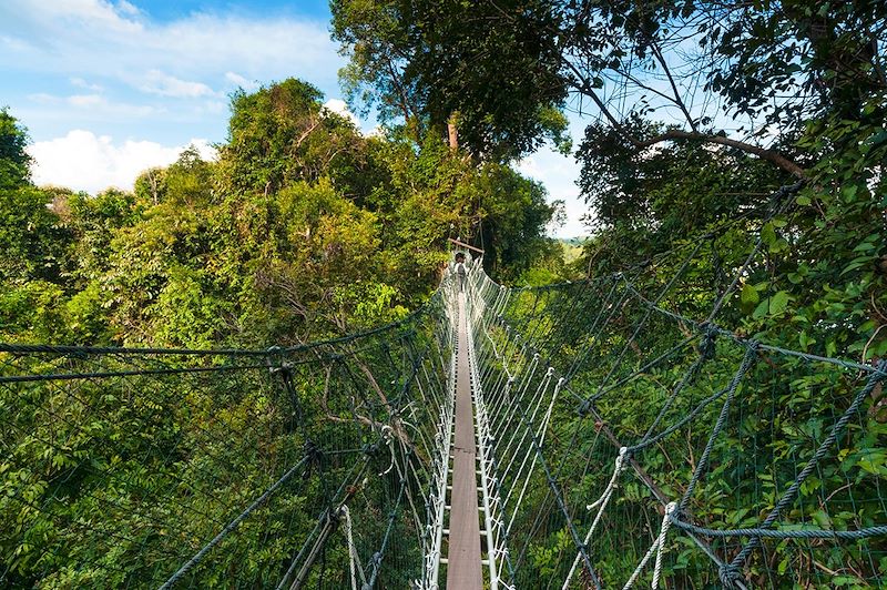 Passerelle dans le parc national de Batang Ai - état de Sarawak - Bornéo - Malaisie