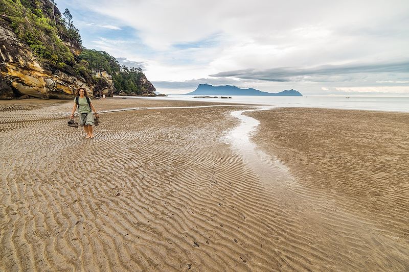 Parc national de Bako - Sarawak - Bornéo - Malaisie