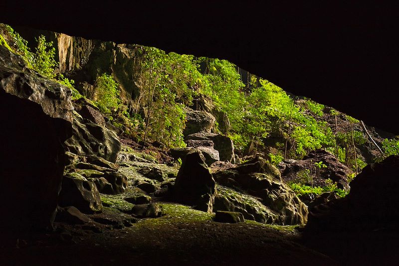 Deer Cave - Parc national de Gunung Mulu - Bornéo - Malaisie