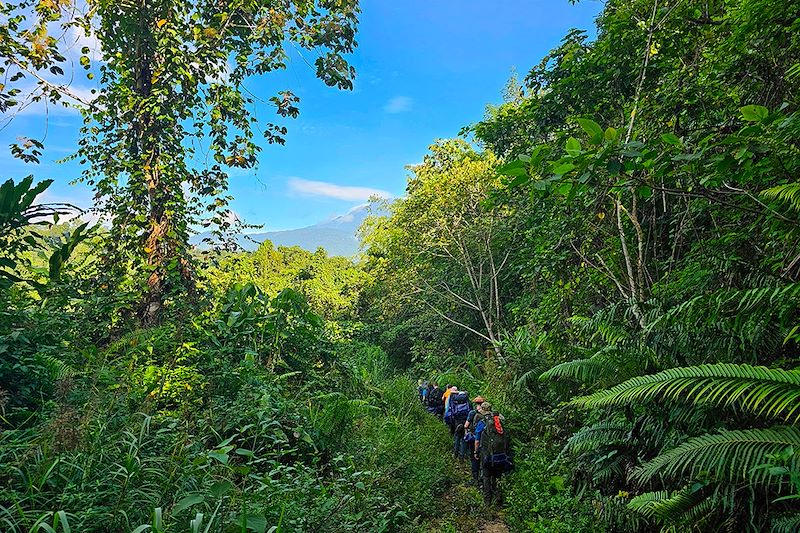 Randonneurs en direction du Mont Kinabalu - Malaisie