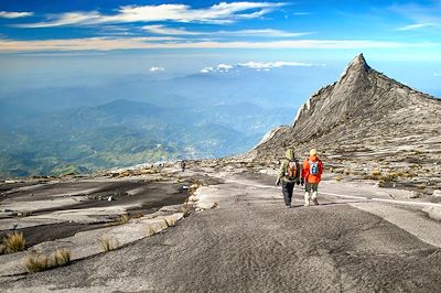 Bornéo version trek : Jungle et Mont Kinabalu