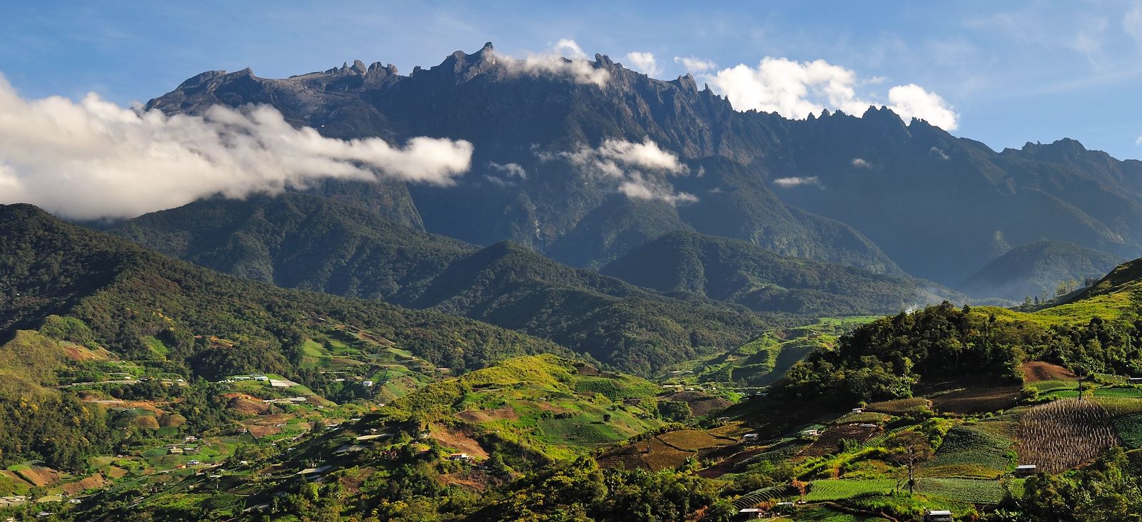 Kuala Lumpur, orang outan et Mont Kinabalu