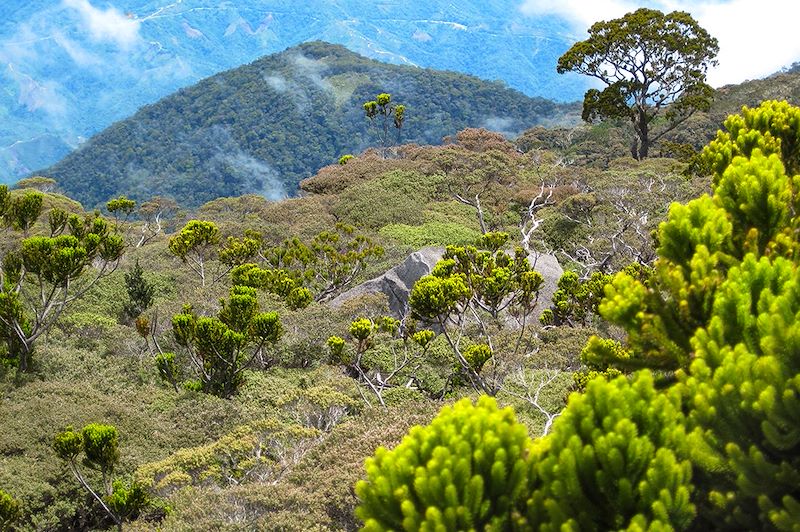 Mont Kinabalu – Malaisie