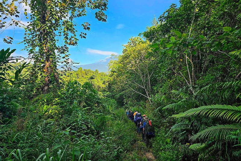 Randonneurs en direction du Mont Kinabalu - Malaisie