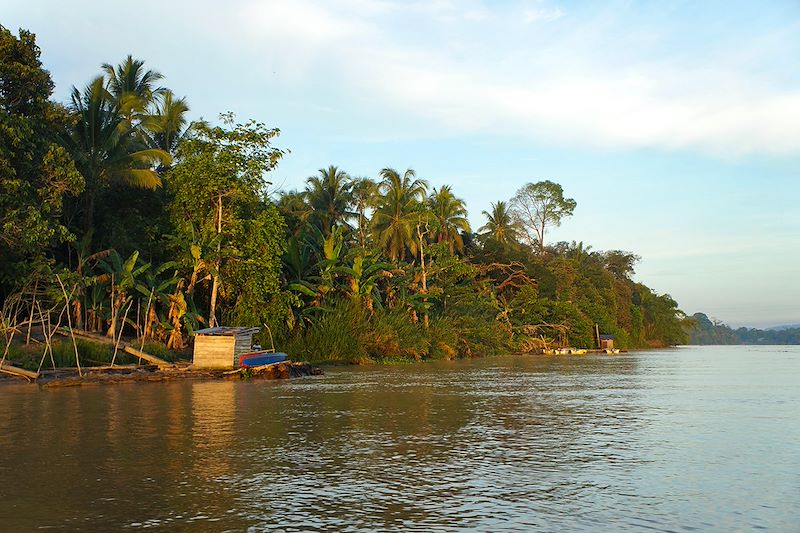 Rivière Kinabatangan - Bornéo - Malaisie